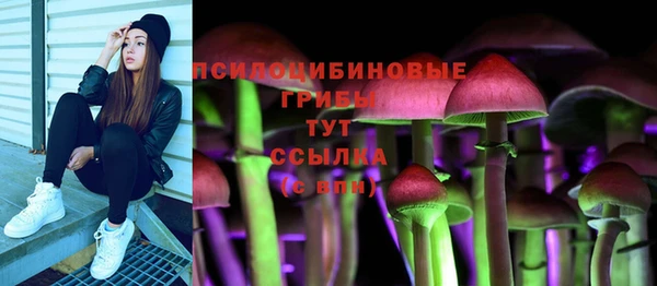 прущие грибы Алзамай