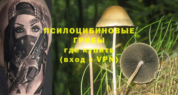 PSILOCYBIN Алексин