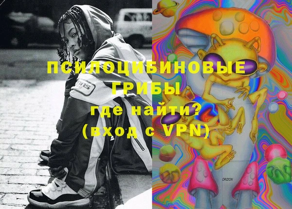 прущие грибы Алзамай