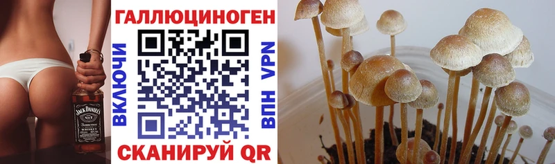 Псилоцибиновые грибы мицелий  Коряжма 
